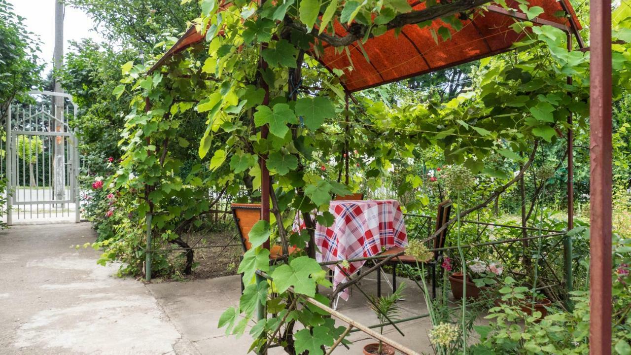 Vila Casa Din Gradina Eforie Sud  Exteriér fotografie