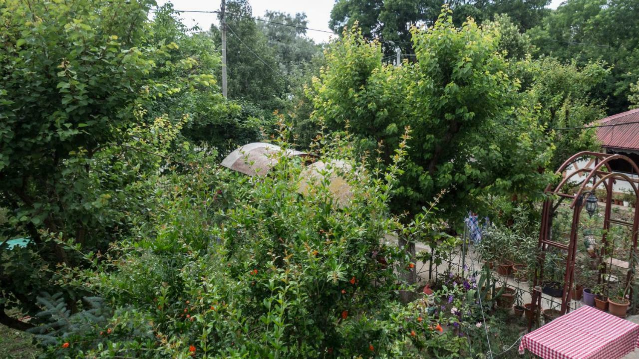 Vila Casa Din Gradina Eforie Sud  Exteriér fotografie