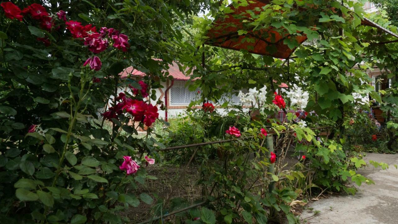 Vila Casa Din Gradina Eforie Sud  Exteriér fotografie